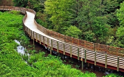 swamp bridge, wooden pathway